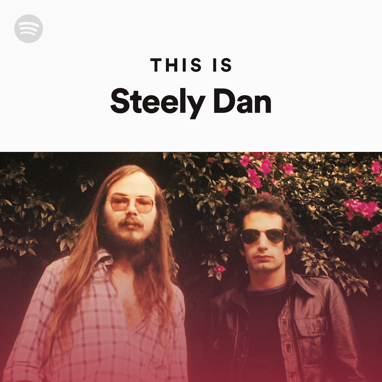 This is Steely Dan, by Spotify